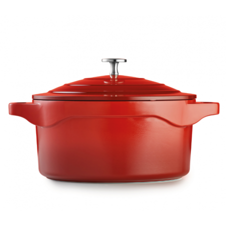 COCOTTE MAGMA EN FONTE D'ALUMINIUM 24CM Achat/Vente au meilleur prix